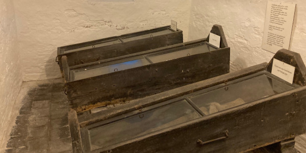 Es gibt auch Spannende Unternemungen in die Umgebung von Leeuwarden: Mummies.